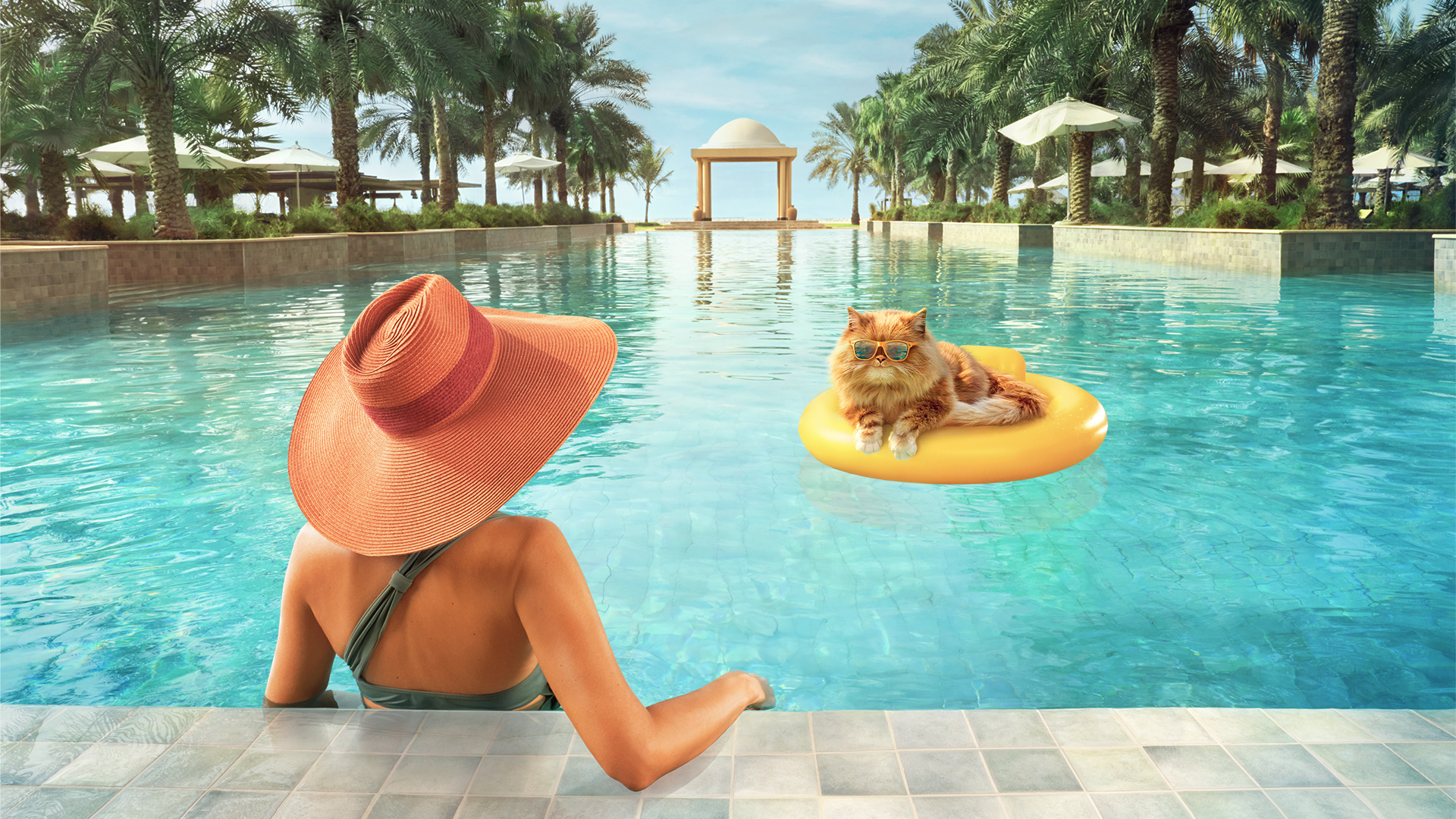 Leo the Cat lounging in a pool as part of the Ras Al Khaimah Tourism Development Authority 'All About You' campaign.