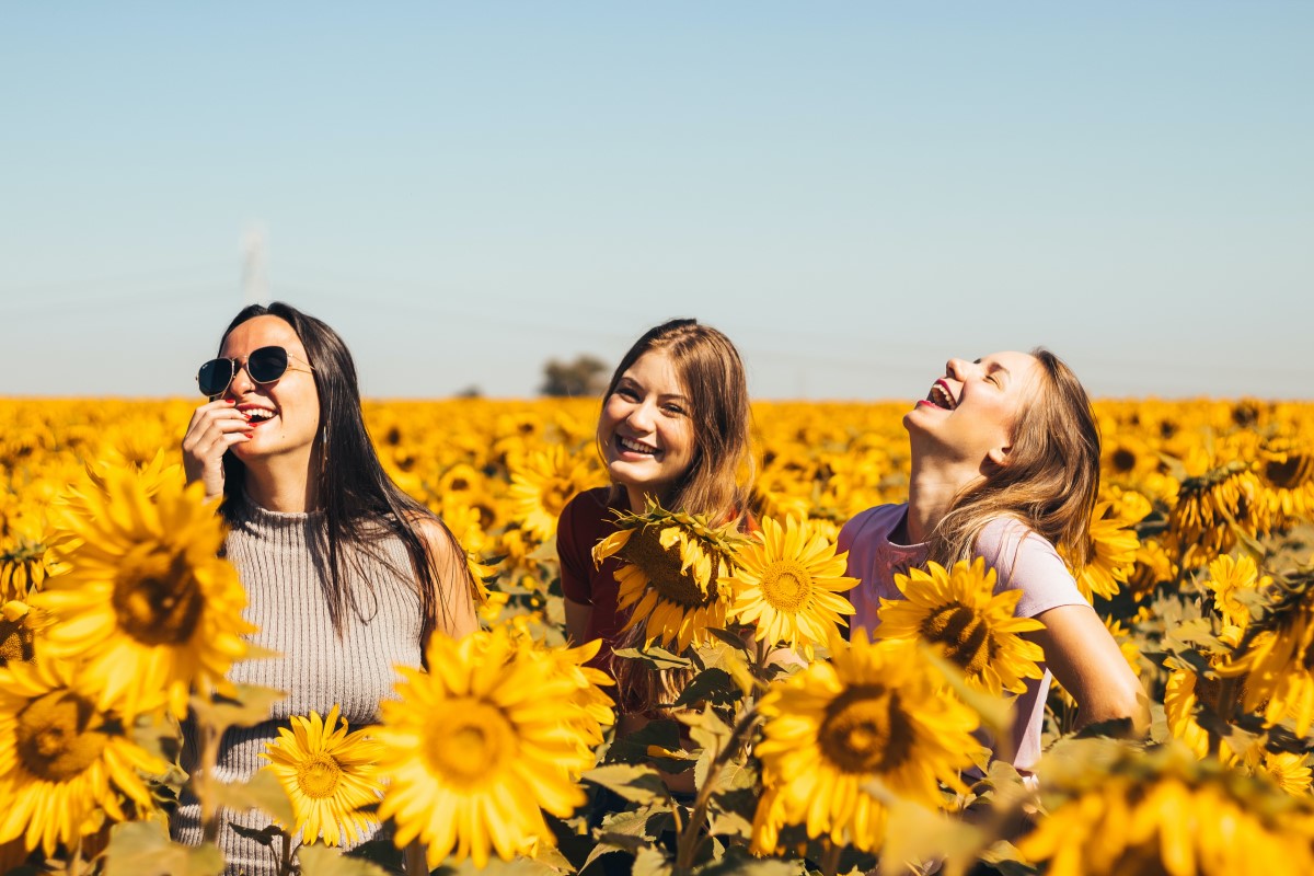 A group of young women travelers in a field of sunflowers. 